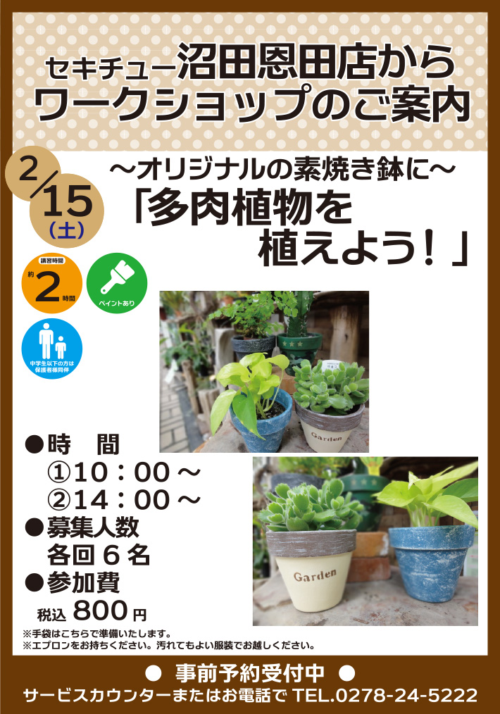 多肉植物を植えよう