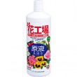 花工場