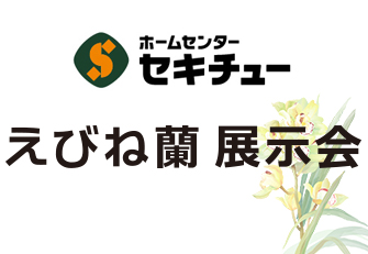 えびね蘭 展示会のお知らせ