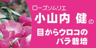 ローズソムリエ「小山内健」先生のバラ講習会