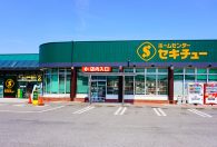 桐生南店