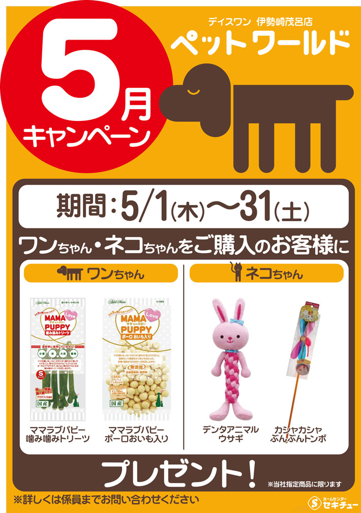 伊勢崎茂呂店ペットワールド ディスワン5月のキャンペーンのお知らせ