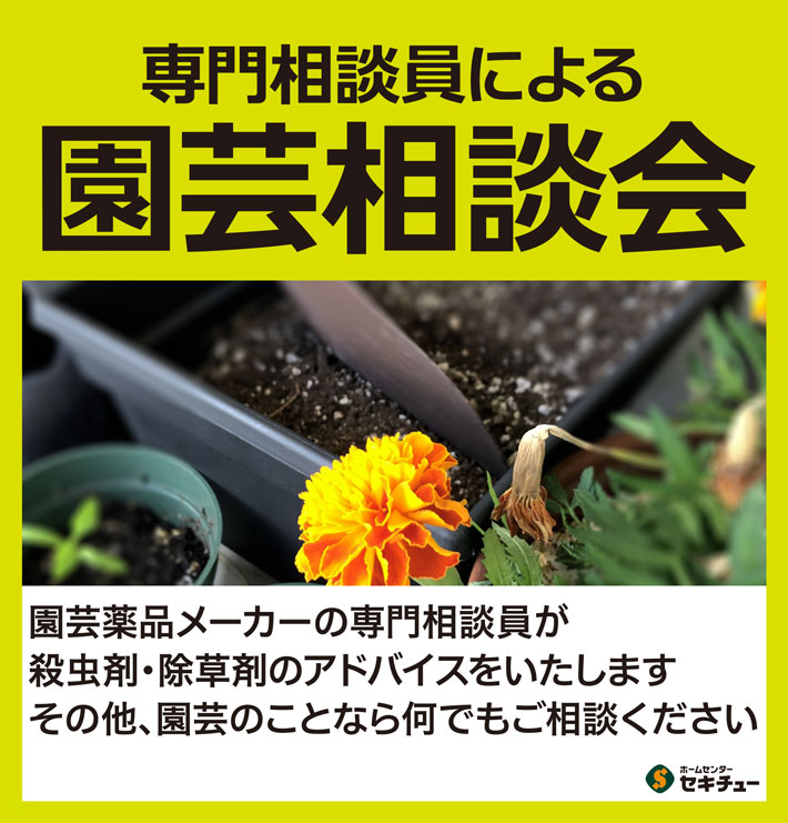 イベントカレンダー2025春